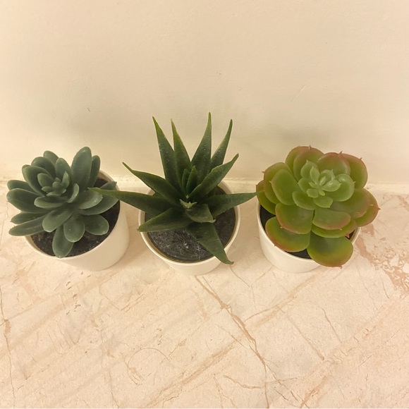 IKEA small planters 🌳🌵 - Picture 2 of 2